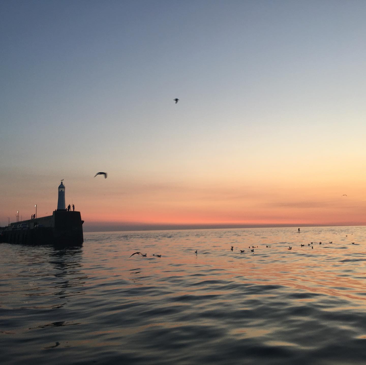 Tiny sunset and fishing cruise in the sunset city Peel #sunset #sailing #Peel https://sy.lagertha.im