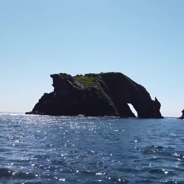 the drinking dragon, she flies over from Wales every day to have a drink 🐉 #isleofman #drinkingdragon #dragon #sailing