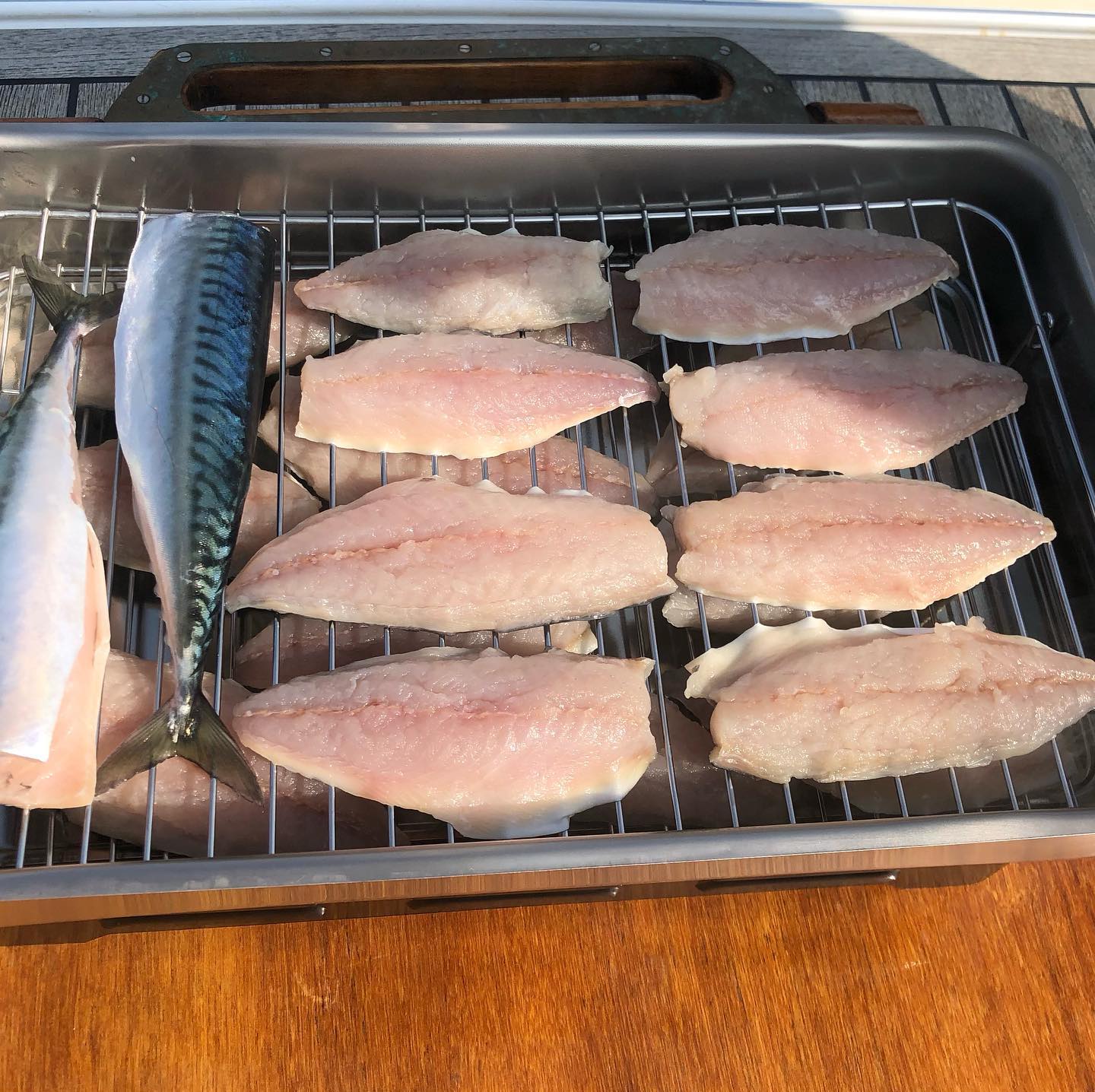 #smoker #smokergrill #sailing #makerel #liveishard #digitalnomad #isleofman #porterin #räuchern #räucherofen