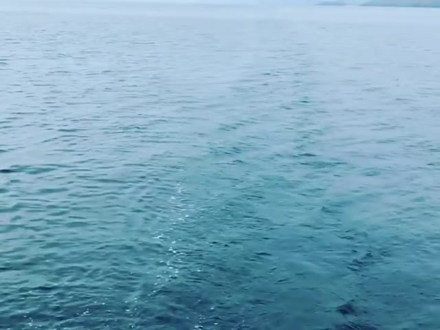 a short sail for a night in Port Erin. 
#segeln #sailing #sailboat #segelboot  #peel #porterin #sailingcouple #isleofman #iom #irishsea #irischesee #lagertha #abenteuerreisen #westerly #oceanlord #westerlyoceanlord #sailinglife #boatinglife #sailingadventure #followus #segelabenteuer #travel #boatlife #boat #reisen