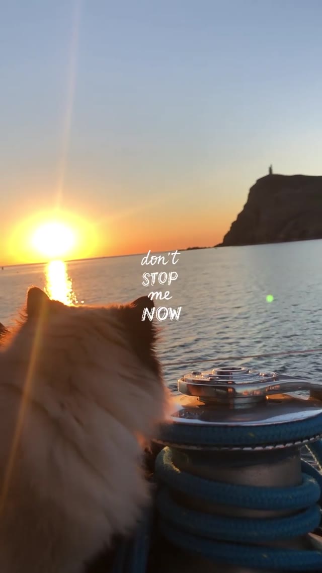 Port Erin, Isle of Man 🌅 
#sailingcat #catagram #instacat #catsofig #catsofinstagram #segelkatze #cat #katze #boatcat #sunset #loveiom #porterin #segeln #sailing #sailboat #segelboot #sailingcouple #isleofman #lagertha #abenteuerreisen #westerly #oceanlord #westerlyoceanlord #sailinglife #boatinglife #sailingadventure #segelabenteuer #travel #boat #reisen