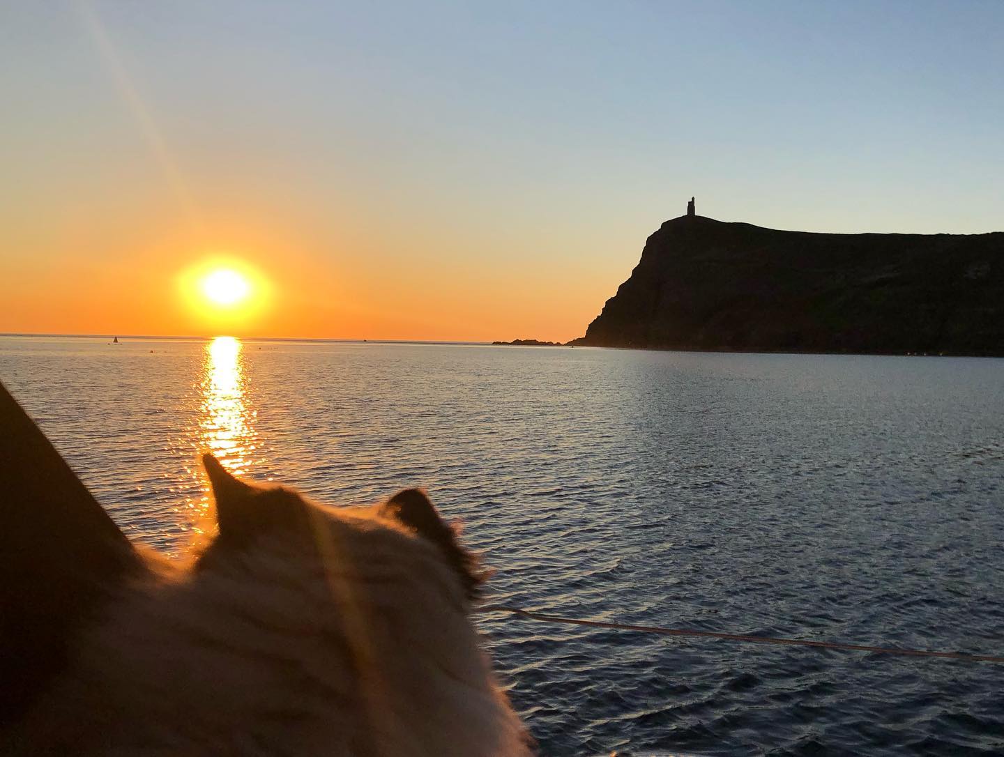 Enjoying Port Erin, Isle of Man 🌅 
#sailingcat #segelkatze #cat #katze #kitty #boatcat #sunset #loveiom #porterin #segeln #sailing #sailboat #segelboot #sailingcouple #isleofman #irishsea #irischesee #lagertha #abenteuerreisen #westerly #oceanlord #westerlyoceanlord #sailinglife #boatinglife #sailingadventure #segelabenteuer #travel #boatlife #boat #reisen