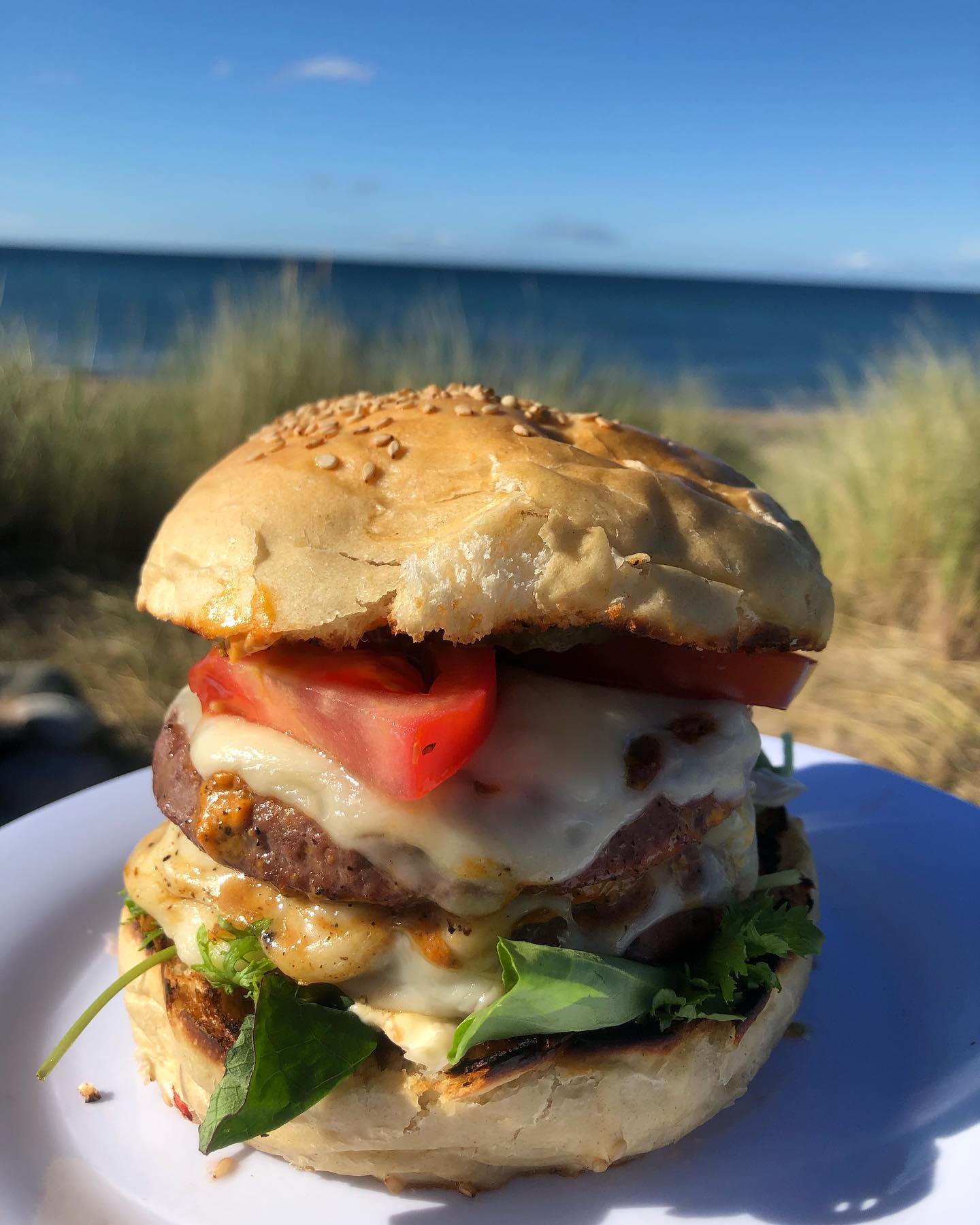 We inaugurated our new portable BBQ Grill and Smoker from @thegrillpit_im  Now we can independently enjoy our BBQ stuff and smoke on the go! 🤤🤤🍔 . . #pitbossgrills #bluepointbeach #bbq #instabbq #bbqlovers #bbqsmoker #sailingcouple #isleofman #irishsea #irischesee #lagertha #abenteuerreisen #sailinglife #boatinglife #sailingadventure #segelabenteuer #travel #boatlife #boat #reisen #loveisleofman #loveiom