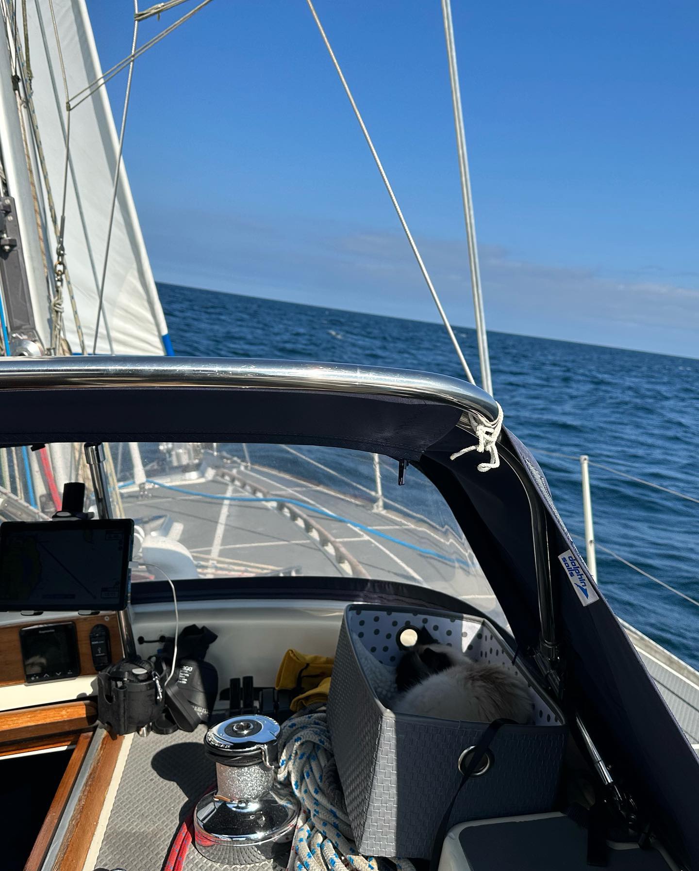 Sailing from the Isle of Man, Peel to Belfast Marina with our fearless feline crew! ⛵️🐱 Slowed down a bit to make it most comfortable for the furry companions.  Embarking on the first leg of our journey to Scotland, we're thrilled to navigate the Irish Sea together. Join us on this unforgettable adventure!  . . . . #SailingWithCats #IsleofManToBelfast #IOM #segelkatze #boatcat #SeaBoundJourney #SailToScotland #segeln #sailing #sailingcouple #digitalnomad #irischesee #lagertha #westerly #oceanlord #westerlyoceanlord #sailinglife #boatinglife #sailingadventure #segelabenteuer #AdventureAwaits #belfastmarina