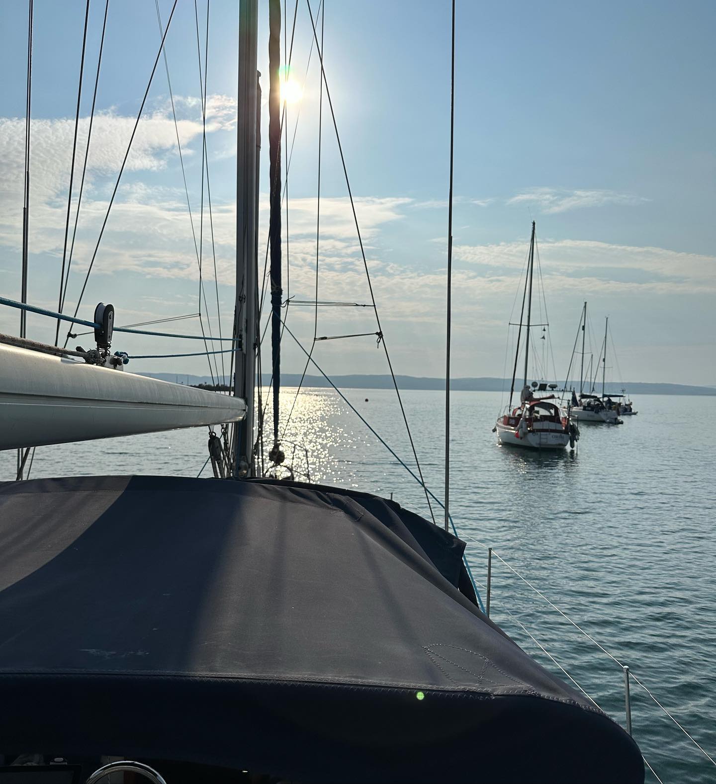 Campbeltown to Lochranza. Sunshine, Dolphins 🐬 and a very short sail. Missing wind but weather is great! So hot here in Scotland 🏴󠁧󠁢󠁳󠁣󠁴󠁿 #sailingscotland #lochranza #sailinglife #dolphin #sailing #sailingcouple