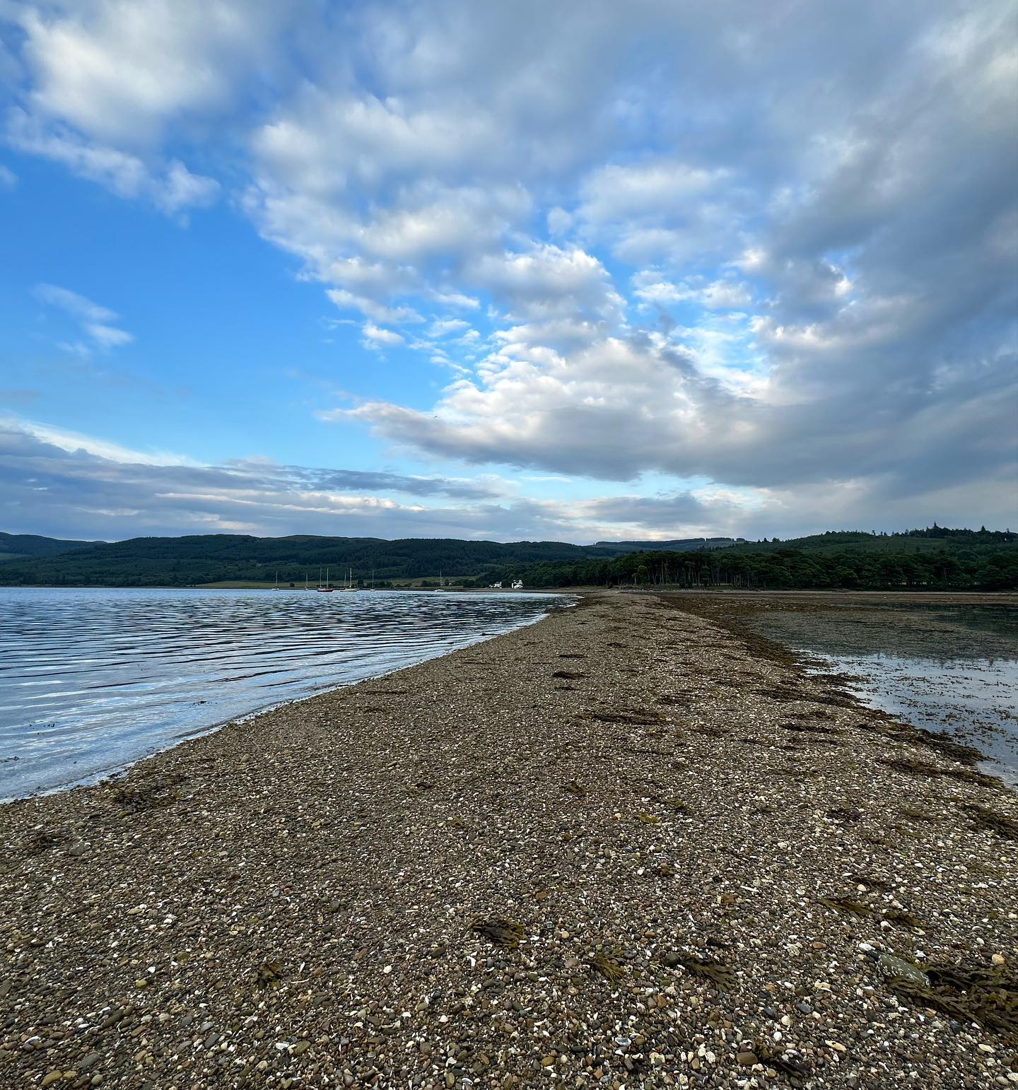 Tabert Marina to Otter Ferry, not much wind but beautiful scenery! 🖼️ #otterferry #upperlochfyne #sailing #sailingscotland #digitalnomad #boatlife