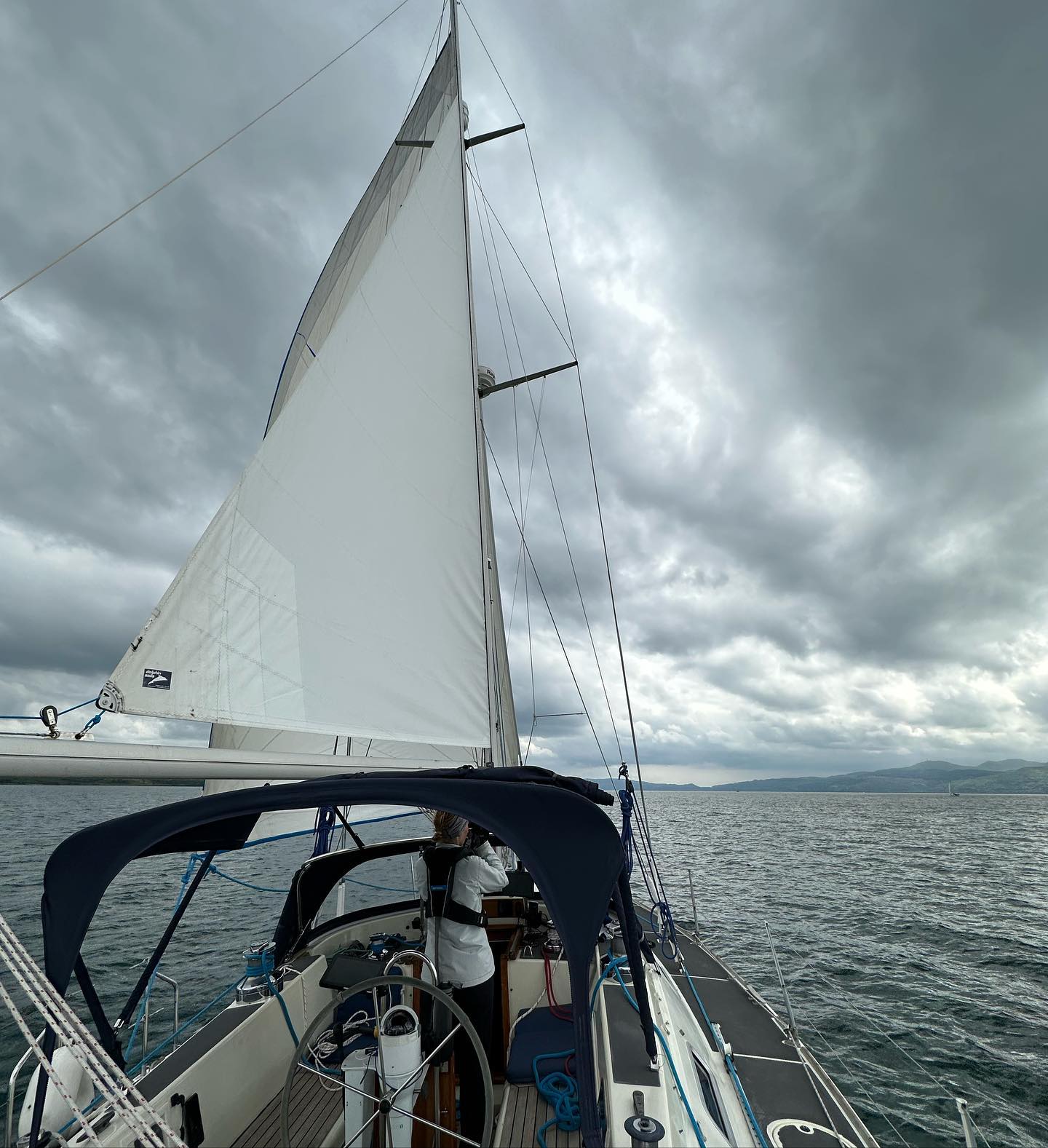 St Catherines Bay back to Otter Ferry Bay. We had some Oysters in the Oystercatcher. Cat and me a bit tired after some work done😴 😼🏴󠁧󠁢󠁳󠁣󠁴󠁿 #sailing #segeln #lochfyne #otterferryoystercatcher #otterferry #sailinglife #scotland #sailingscotland #digitalnomad