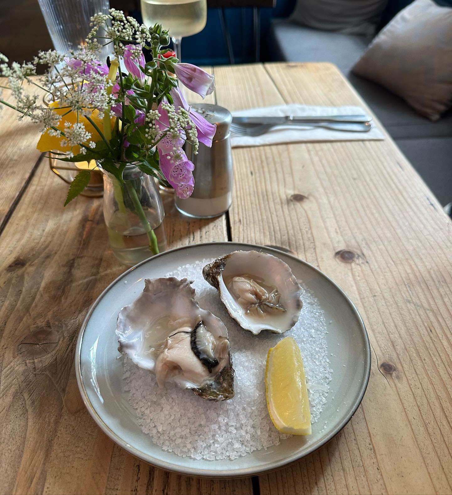 St Catherines Bay back to Otter Ferry Bay. We had some Oysters in the Oystercatcher. Cat and me a bit tired after some work done😴 😼🏴󠁧󠁢󠁳󠁣󠁴󠁿 #sailing #segeln #lochfyne #otterferryoystercatcher #otterferry #sailinglife #scotland #sailingscotland #digitalnomad