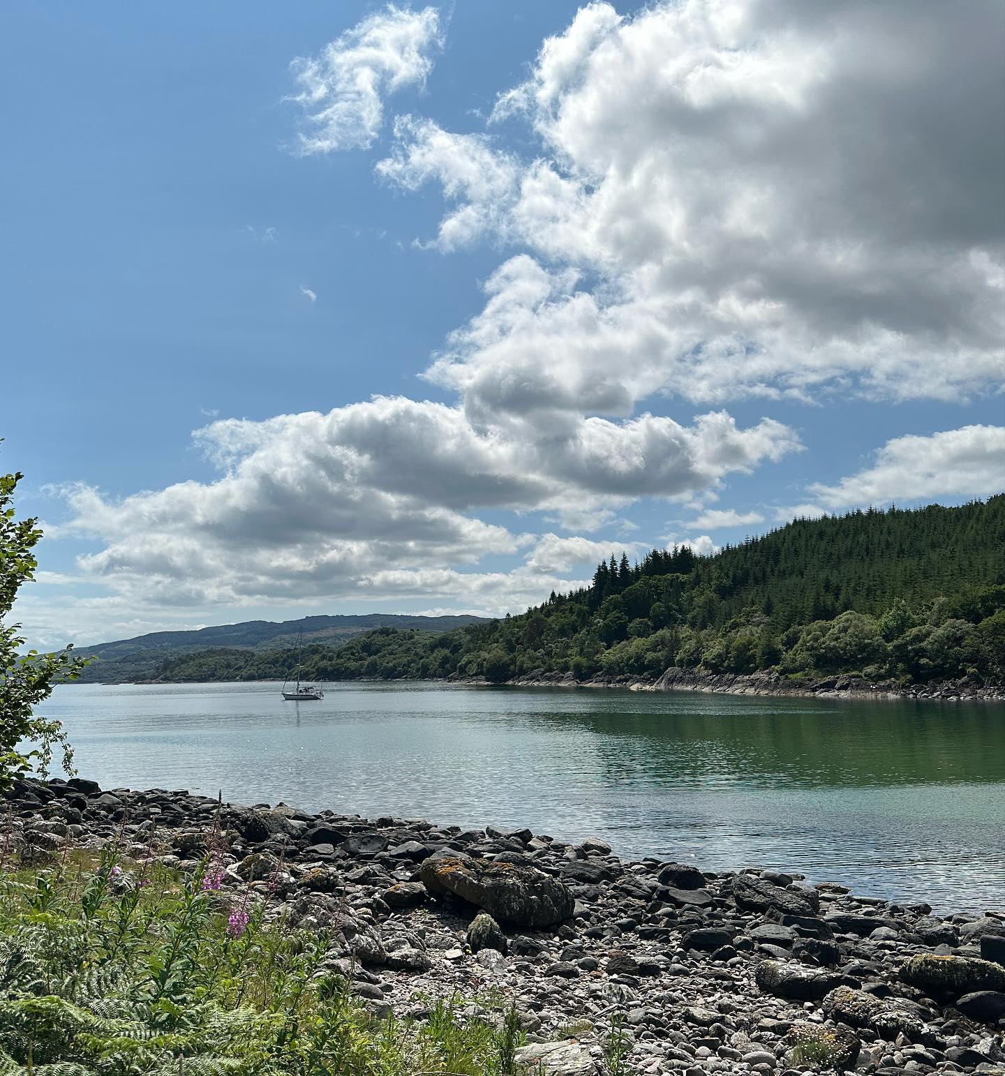 Otter Ferry to South Bay (Tarbert) Most beautiful anchorage and the weather, brilliant! 🤩 #barmoreisland #tarbert #sailing #segeln #sailingscotland #scotland #lochfyne #sailinglive #lifeabroad #digitalnomad