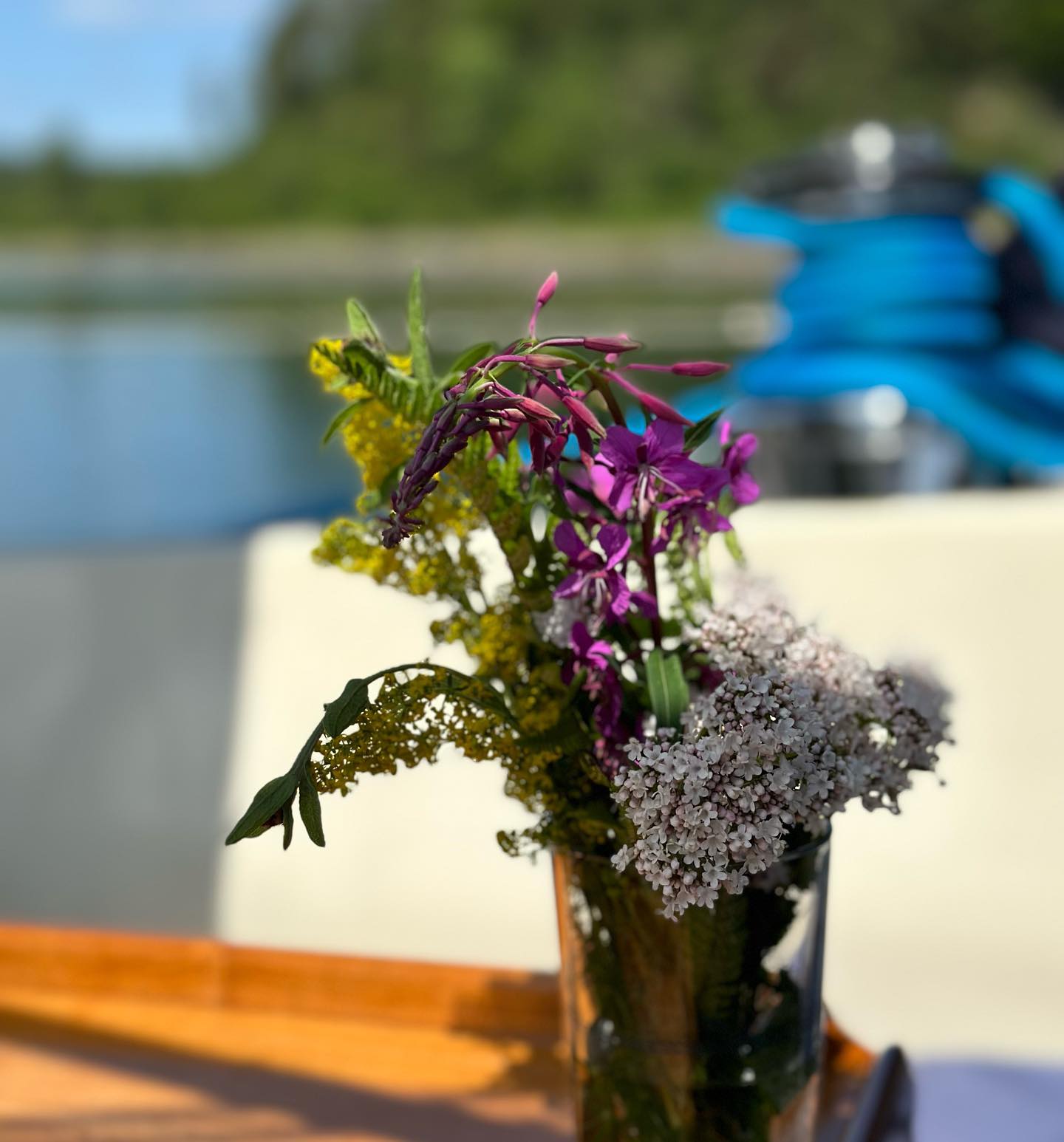 Otter Ferry to South Bay (Tarbert) Most beautiful anchorage and the weather, brilliant! 🤩 #barmoreisland #tarbert #sailing #segeln #sailingscotland #scotland #lochfyne #sailinglive #lifeabroad #digitalnomad