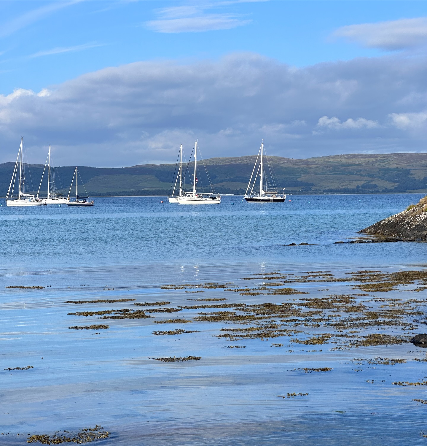 🌞 Perfect Sailing Day from Ardbeg to Ardminish Bay, Gigha ⛵
We had a fantastic sailing day from Ardbeg to Ardminish Bay, Gigha. The weather was perfect, and we enjoyed a sunny afternoon on the water. After we arrived, we had a refreshing splash to cool off and then a lovely dinner at the Boathouse restaurant. Feeling grateful for days like these! 🌞🌊
#sailinglife #adventureawaits #liveaboard #sailingcouple #boatlife #sunnydays #ardminishbay #gigha #scotland #westscotland #sailinglagertha #westerlyyachts #westerlyoceanlord #segeln #theboathouse