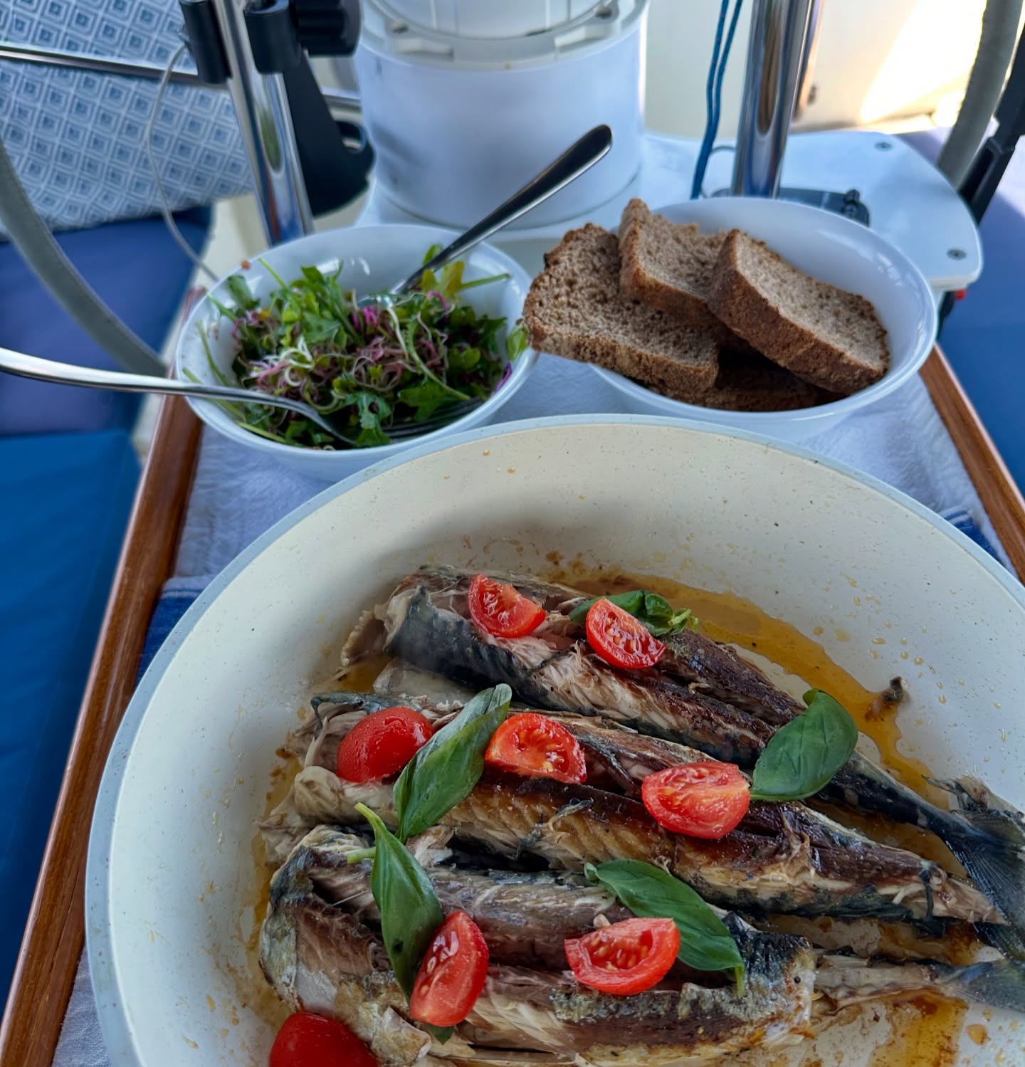 🌬️ Sailing from Canna to Isle Ornsay ⛵
We sailed from Canna to Duisdale House Hotel, Isle Ornsay, enjoying downwind sailing most of the time. Hiding away from strong winds, we had a fantastic dining experience for our wedding anniversary and even caught some mackerel at the mooring. 🌊🎣
#sailinglife #isleornsay #canna #downwindsailing #weddinganniversary #greatdining #mackerelfishing #boatlife #sailingcouple #scotland #westscotland #sailinglagertha #westerlyyachts #westerlyoceanlord #segeln