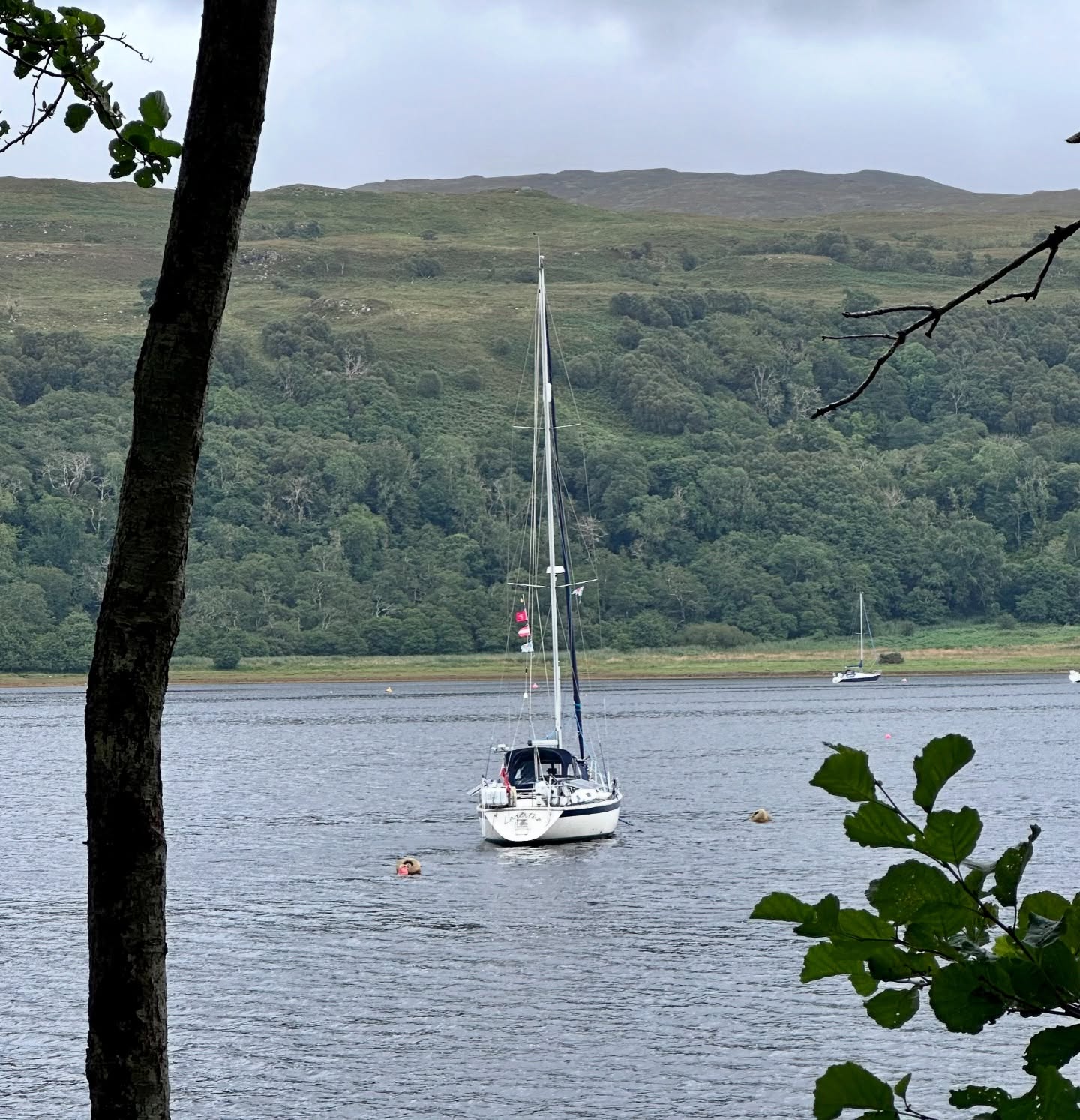 ⛵ Journey from Loch Aline to Kerrera / Oban
We were treated to the Northern Lights aurora early this morning in Loch Aline before setting off. A nice and smooth sail to Kerrera with some sunshine along the way made for a perfect day.
#sailinglife #kerrera #oban #aurora #northernlights #smoothsailing #sailingadventures #sailinglagertha #westscotland #westerlyyachts #westerlyoceanlord #segeln