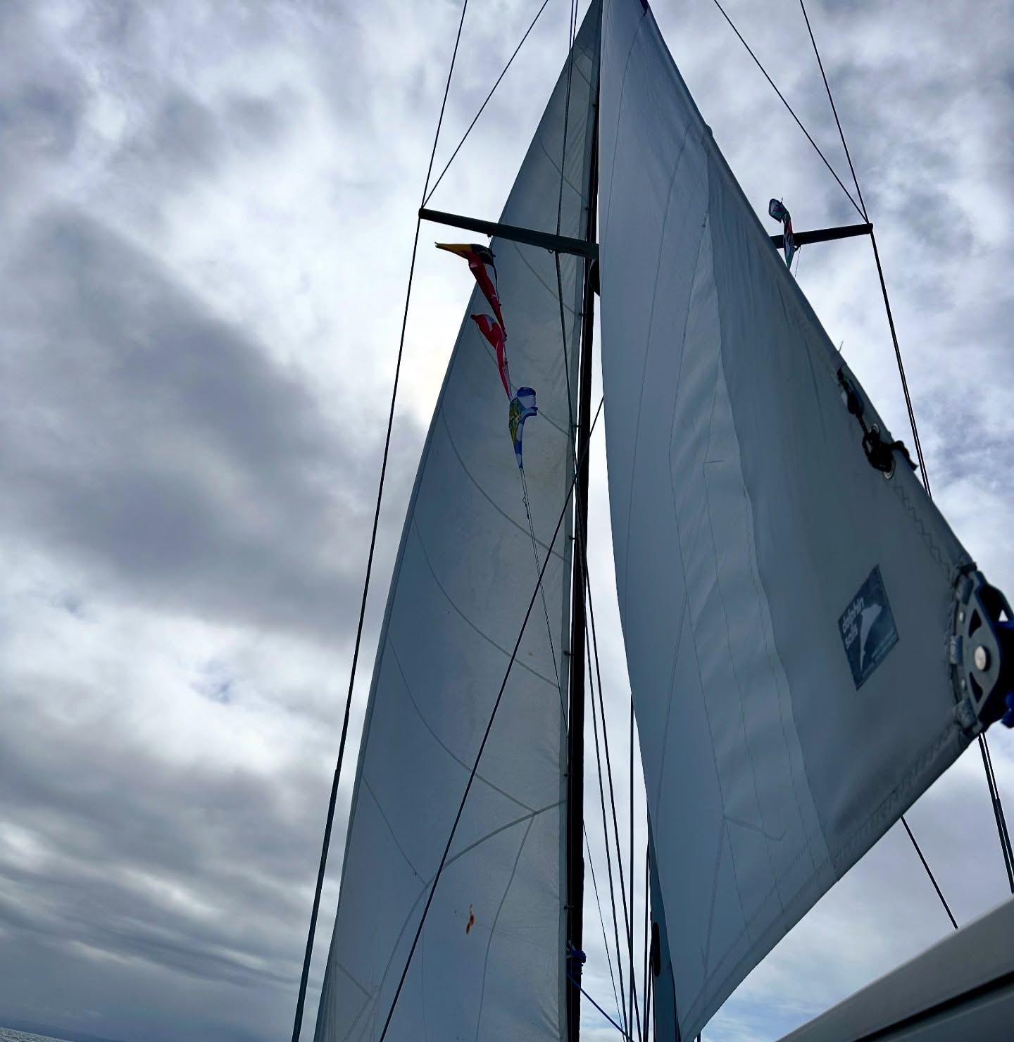 ⛵ Ardfern to Port Ellen: Escaping the Gale "Prison"
After days of hiding from stronger winds and gales in Ardfern, it started to feel like a prison. The constant battle of wind against tide was wearing us down. Today, the wind was lighter but still right on the nose and against the tide-at least we were spared the rain and had some sunshine!
We decided to give our stay sail a try, thinking the gusts around 20 knots were ideal for testing. And wow, we're in love with it now! We set the autopilot to 30° on the wind, and Lagertha sailed like a dream. If only we'd tried it earlier on this trip 😅.
Now, we're back to hiding from the next gale in Port Ellen, sipping on whisky and waiting for a good weather window to cross the North Channel to Ireland. If you're looking to train for heavy weather sailing, West Scotland in August is the place to be! We've only had a couple of nice days between all the strong winds and gales.
We've learned a lot and are grateful for the experience, but a bit more of that holiday vibe from the start of our journey wouldn't have been so bad either.
#sailinglife #sailingadventures #portshelter #portellen #westscotland #sailinglagertha #westerlyyachts #westerlyoceanlord #segeln #heavysailing #staysail #windagain #northchannel #whiskytasting