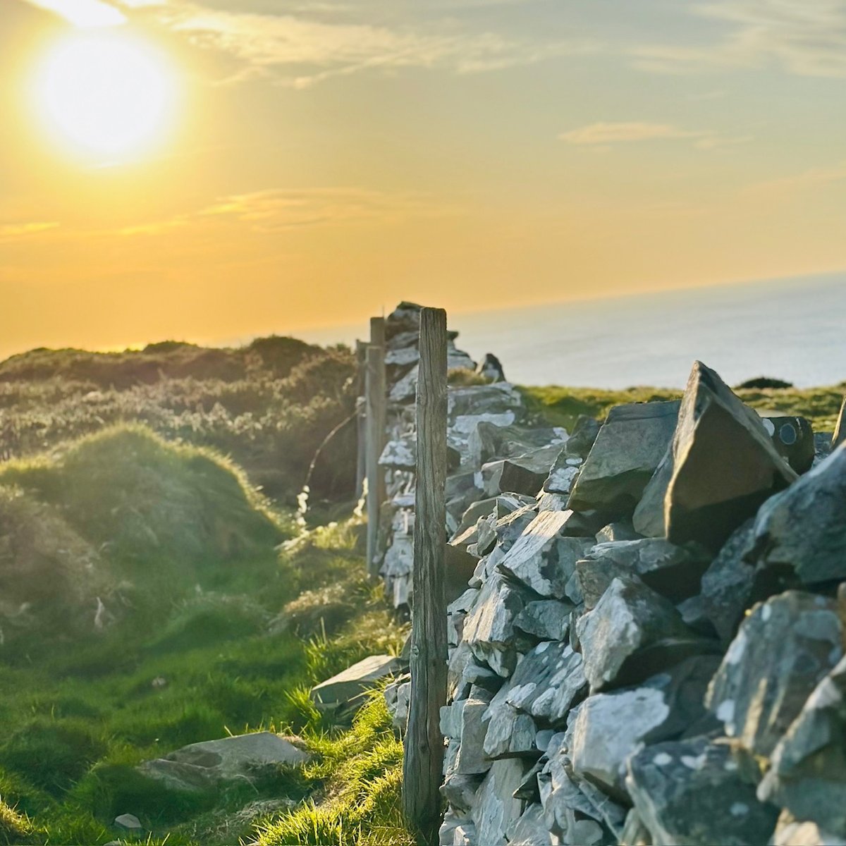Golden evening light on dry stone walls along the Peel coast