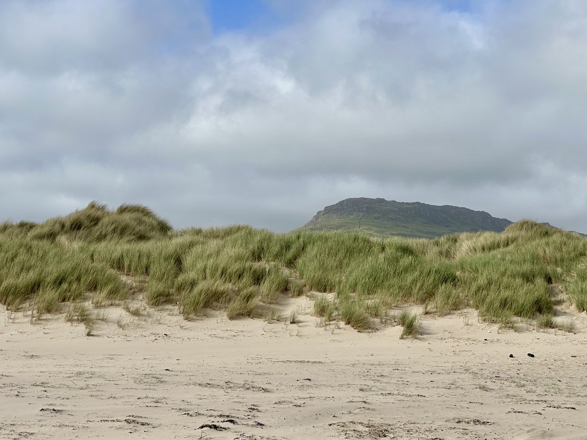 Pwllheli Weeks