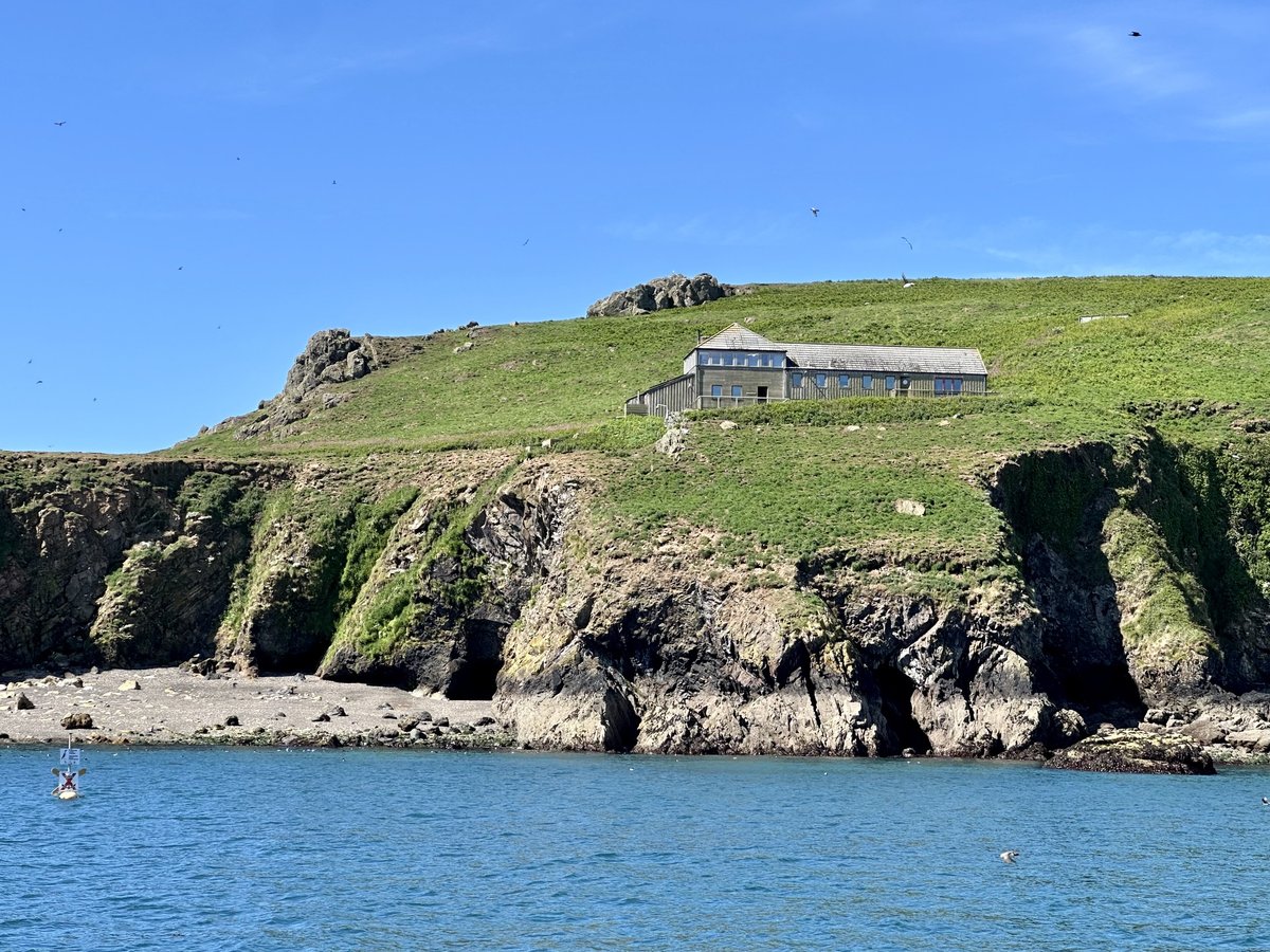 Skomer Island - rugged coastline with waves crashing against dark rocks