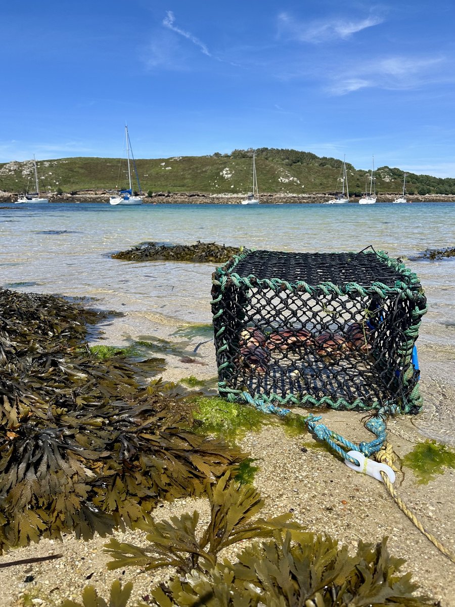 Crab pot on the beach at Bryher - trap with float, sailboats anchored in the bay