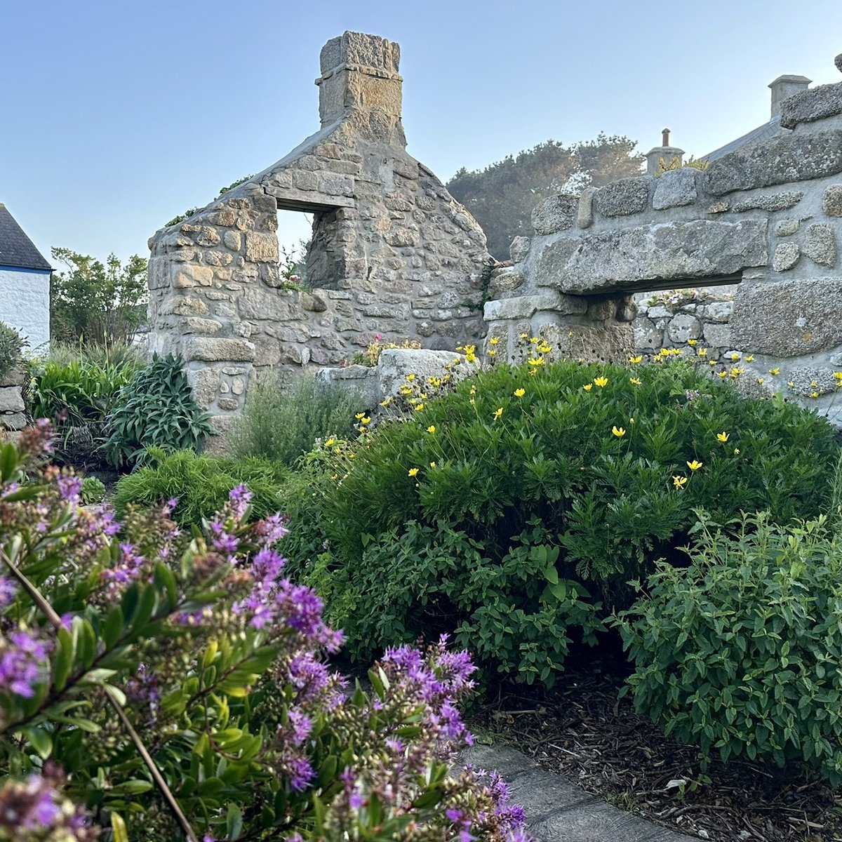 Stone ruins overgrown with wildflowers, chimney still standing