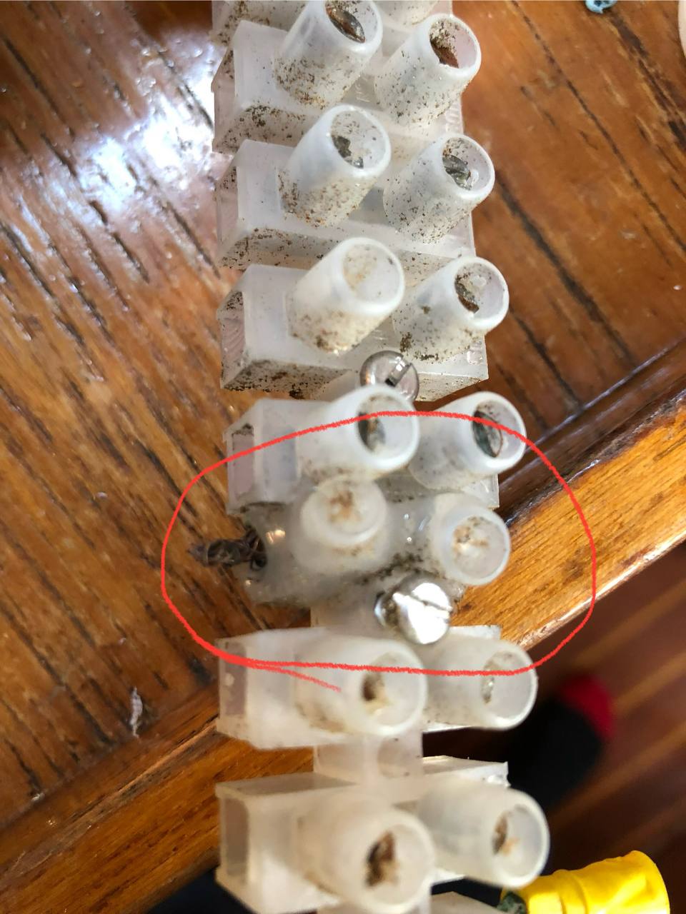 Melted chocolate block connector - evidence of overheating and arcing