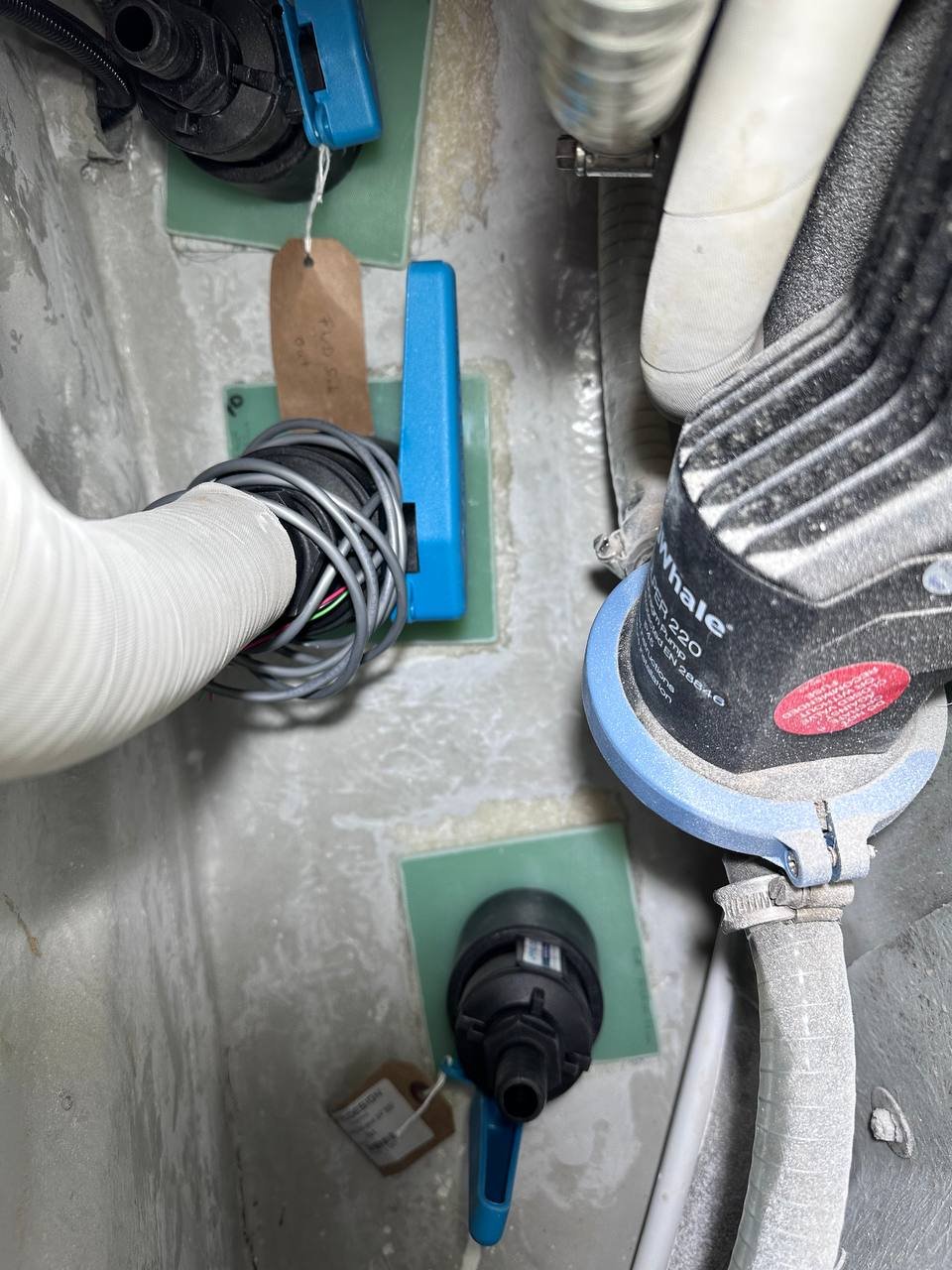 Whale bilge pumps mounted on new Trudesign backing plates with hose connections
